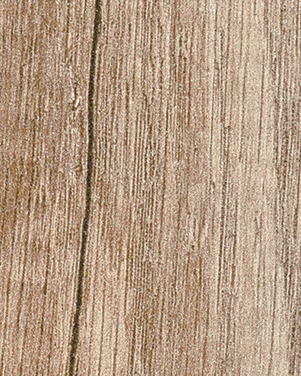 669 Rovere Primitivo