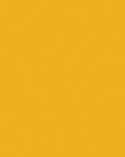 242 Giallo
