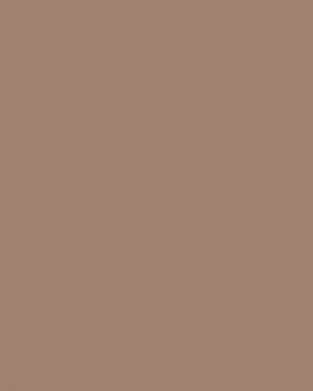 301 Cappuccino